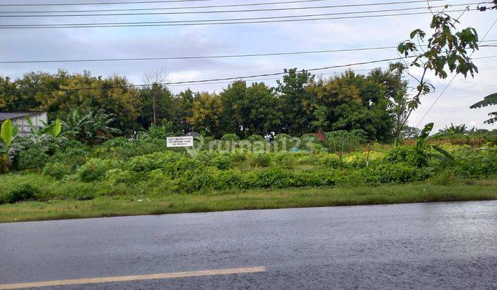 Tanah industri 0jln provinsi lamongan utara cocok buat gudang, pabrik dll 1