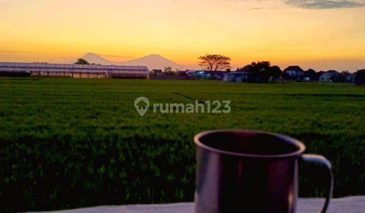 Rumah Cantik Di Karanganyar Kota View Gunung Lawu Siap Huni 2