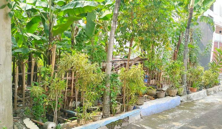 Tanah Solo Kota Ideal Siap Bangun Kost atau Rumah 1