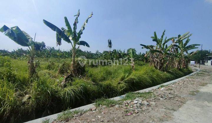 Lahan Luas Colomadu Tanah Luas Colomadu SHM kering 1