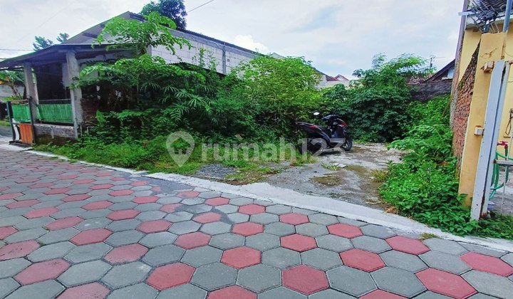 Cheap Backyard Land in the City Center