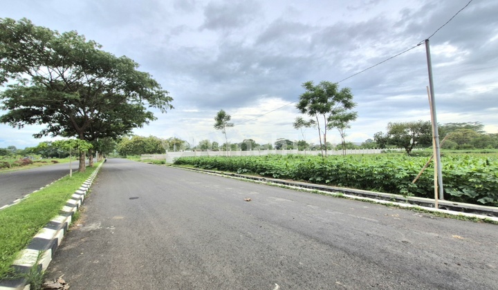 Industrial Zone Red Plot Land in Boyolali Ready to Build