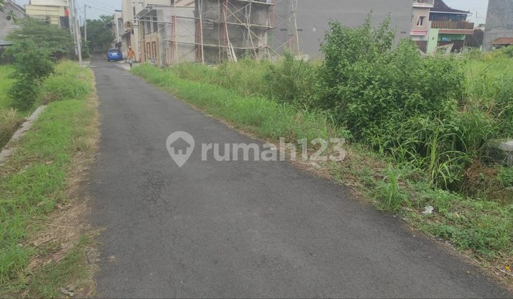 Cheap Land Near UMS Campus Ready to Build Cheap Land Near UMS Campus Ready to Build