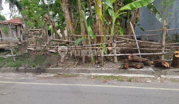 Tanah Pekarangan Murah Tengah Kota Siap Bangun Tanah Pekarangan Murah Tengah Kota Siap Bangun