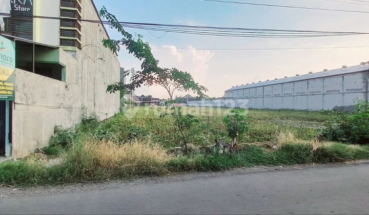 Tanah Lahan Luas Bisa Untuk Perumahan Potensial Lingk Perumahan Tanah Lahan Luas Bisa Untuk Perumahan Potensial Lingk Perumahan