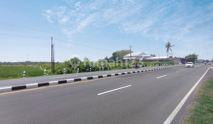 Tanah Pinggir Jalan Solo Sragen Masaran Strategis Murah Luas 7545m2