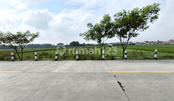 Large Land Plot in Yellow Zone Near Sidoharjo Toll Road Sragen 1.4ha Large Land Plot in Yellow Zone Near Sidoharjo Toll Road Sragen 1.4ha