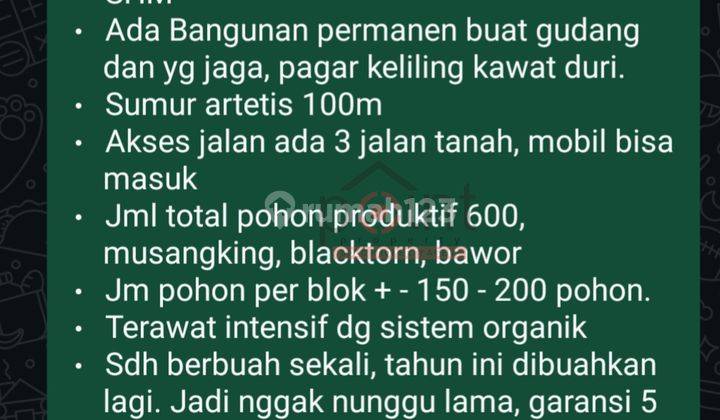 Tanah Kebun Durian 2.2 Hektar Potensial Di Jumapolo Karanganyar 2