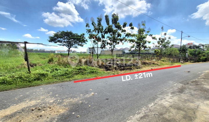 Wide Yard Land Can Be Used to Build Housing Near Ums Campus