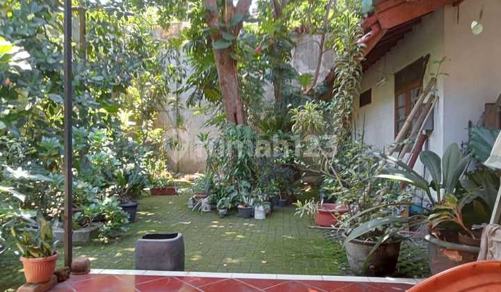 For Sale, Cool Mountain Stone House For Sale, Cool Mountain Stone House