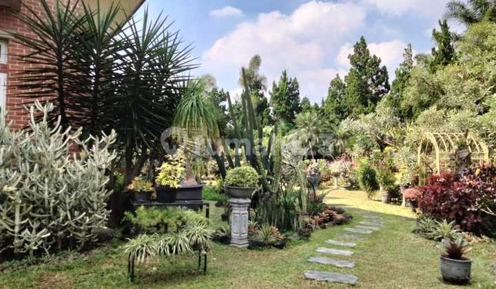 Di Jual Rumah Bawa Kenangan Dan Hoki Dago Di Jual Rumah Bawa Kenangan Dan Hoki Dago