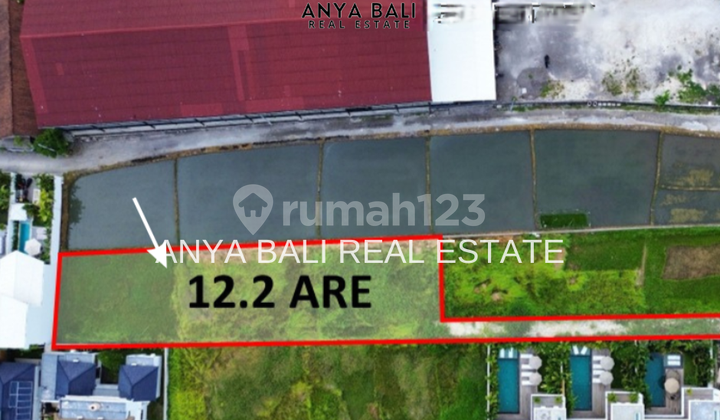 Tanah 12,2 Are Lokasi Berawa Canggu