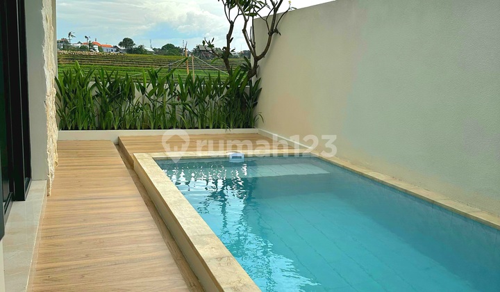 Leasehold Brand New 2 Bedrooms Villa Furnished with ricefield view in Canggu Bali 2