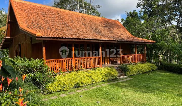 Dijual Joglo Retreat & Cottage View Gunung, Sunset, Jungle di Payangan Ubud Bali 2