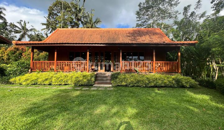 Dijual Joglo Retreat & Cottage View Gunung, Sunset, Jungle di Payangan Ubud Bali Dijual Joglo Retreat & Cottage View Gunung, Sunset, Jungle di Payangan Ubud Bali