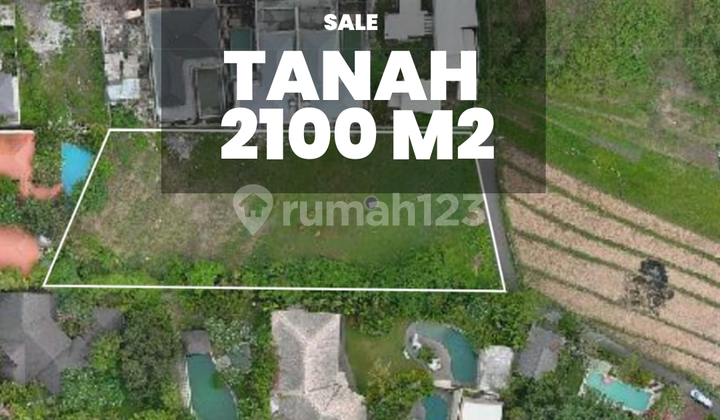 Land 21 Ares With Rice Field View In Umalas Kerobokan Bali