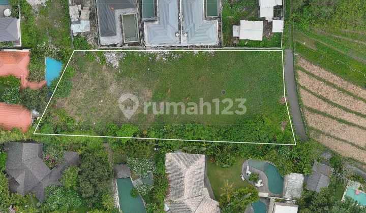 Land 21 Ares With Rice Field View In Umalas Kerobokan Bali