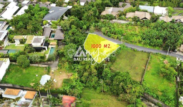 Land at Shortcut Bumbak Berawa Canggu, Badung Certificate of Ownership 10 acres 2