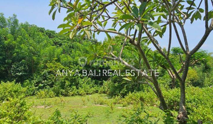 Tanah di Balangan Jimbaran, Badung Sertifikat Hak Milik 1.200 m² 2