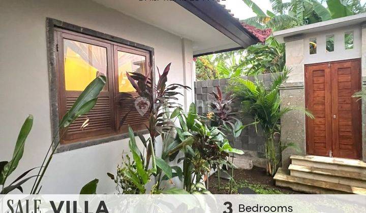 Rumah 2 Lantai Sudah Renovasi Furnished SHM di Umalas Tegalcupek, Badung 1