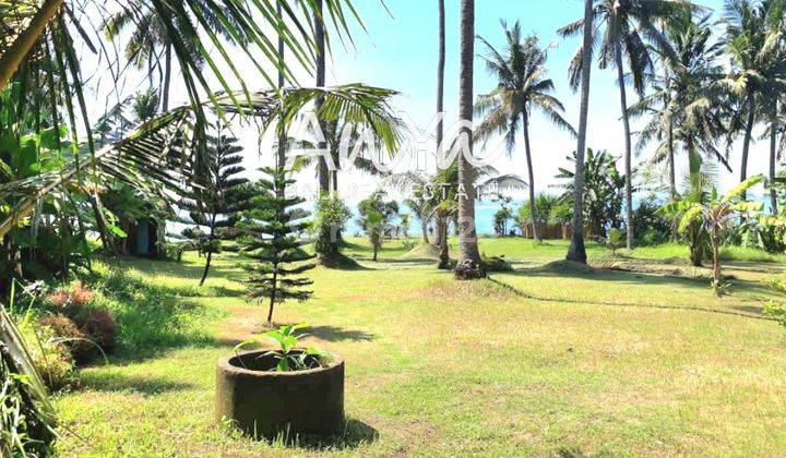 Tanah di Seraya Karangasem, Karangasem SHM 9.390 m² Loss Pantai 2