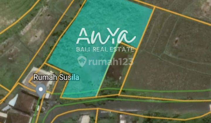 Tanah di Tumbakbayuh Pererenan , Badung SHM 1.100 m² 2