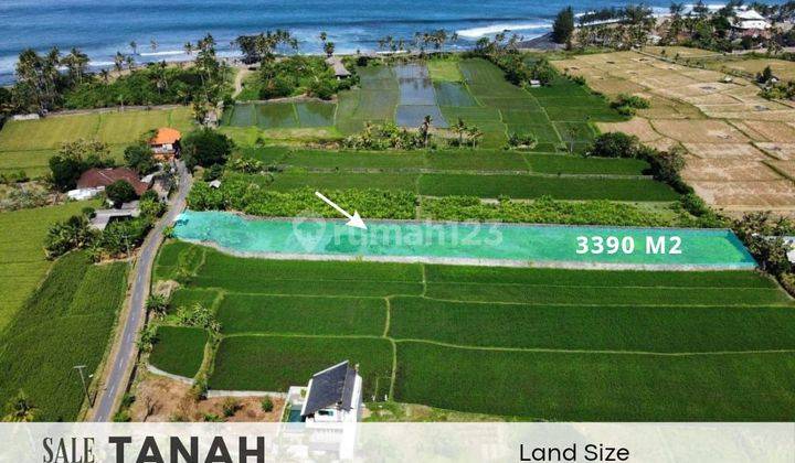 Tanah di Keramas Gianyar, Gianyar SHM 3.390 m² 1