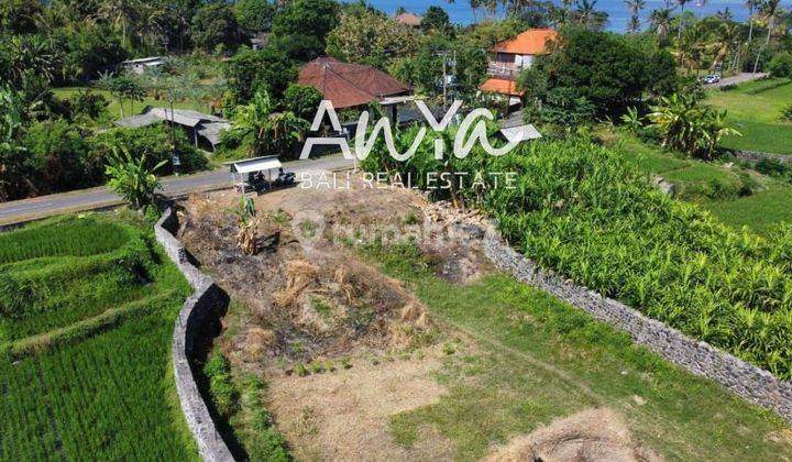 Tanah di Keramas Gianyar, Gianyar SHM 3.390 m² 2