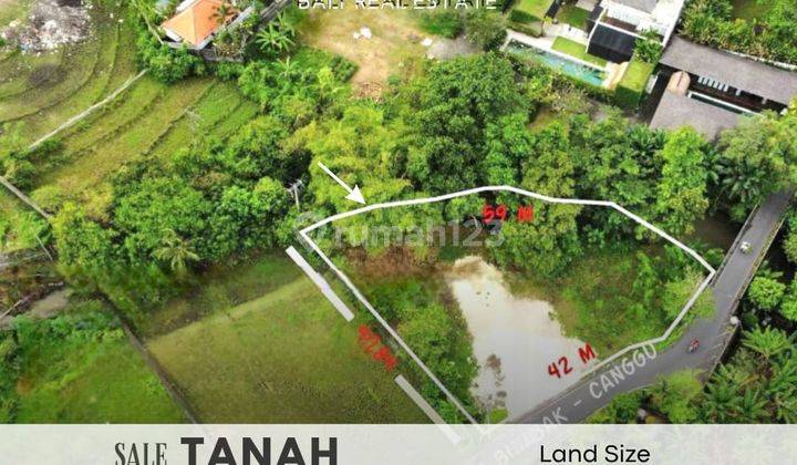 Land at Shortcut Bumbak Berawa Canggu, Badung Certificate of Ownership 10 acres 1