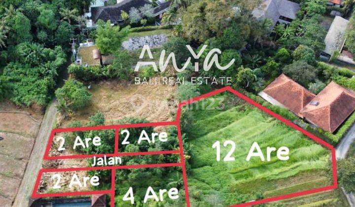 Tanah di Nyanyi , Tabanan SHM 400 m² 2