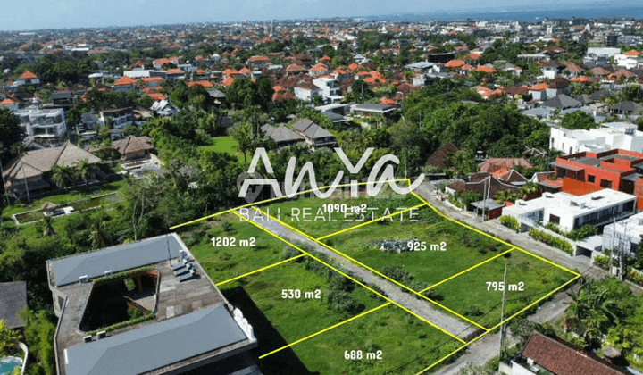 2 Plot Kavling Tanah 5,3 Are Dekat Pantai Pererenan Canggu Bali 2