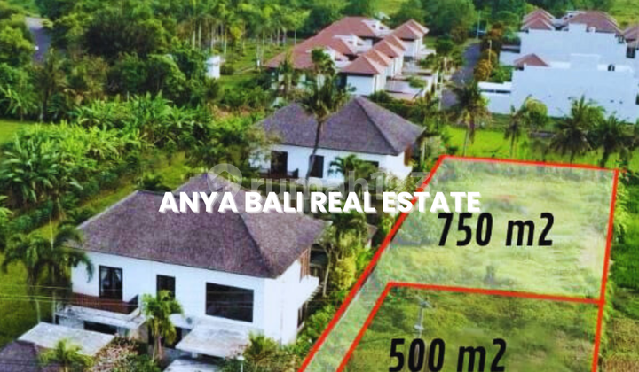 Tanah Dekat Pantai Lokasi Premium Kawasan Ciputra Tabanan Bali Tanah Dekat Pantai Lokasi Premium Kawasan Ciputra Tabanan Bali