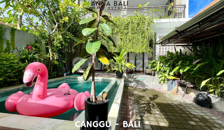 Yearly Rental 3 Bedrooms Villa Furnished In Canggu Bali Yearly Rental 3 Bedrooms Villa Furnished In Canggu Bali