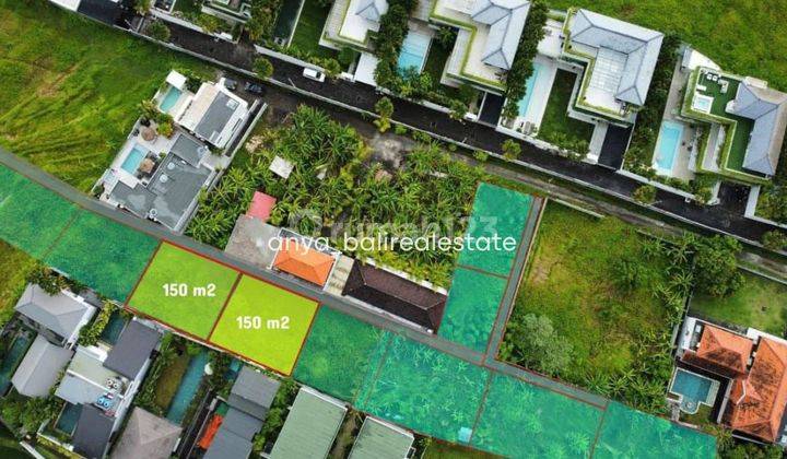 Tanah di Kayu Tulang , Canggu SHM 150 m² 2