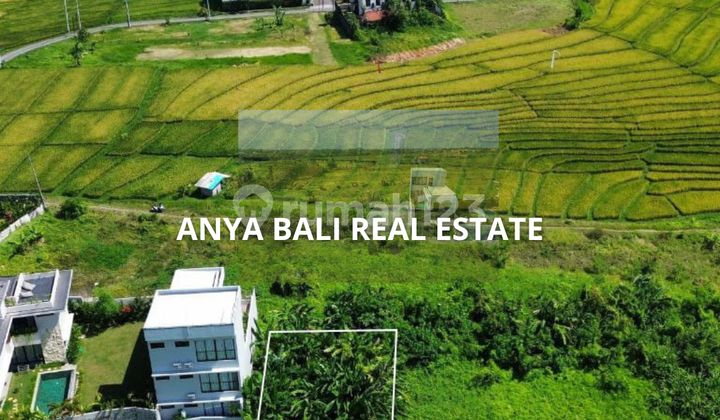 Tanah Zona Pariwisata Dekat Pantai di Cemagi Bali Tanah Zona Pariwisata Dekat Pantai di Cemagi Bali