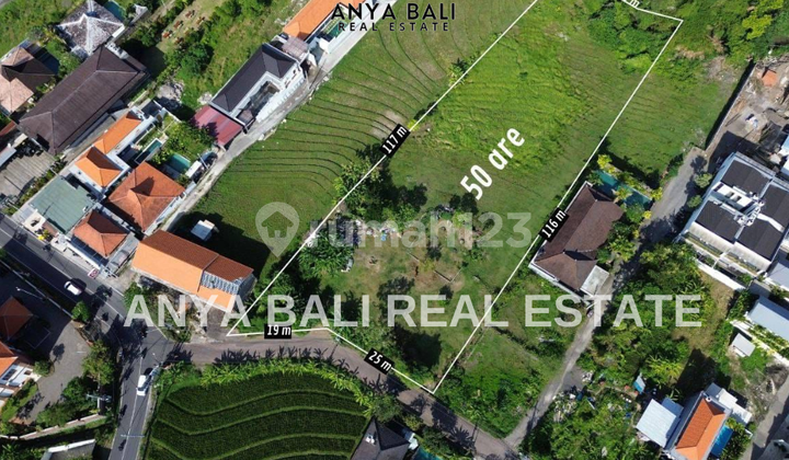Tanah 50 Are Dekat Pantai di Pererenan Canggu Bali Tanah 50 Are Dekat Pantai di Pererenan Canggu Bali