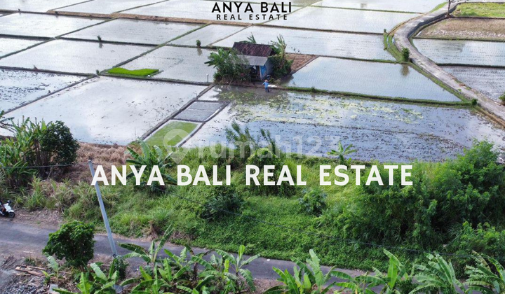Tanah 2,1 Are View Sawah dan Gunung di Dekat Pantai Kedungu Tabanan. Tanah 2,1 Are View Sawah dan Gunung di Dekat Pantai Kedungu Tabanan.