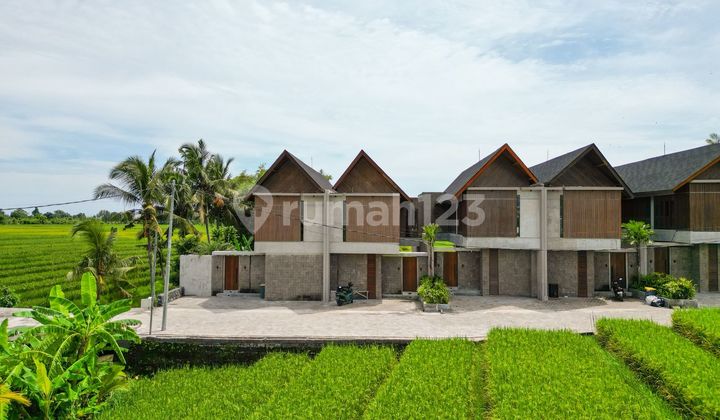 Brand New Villa Ricefield & River View In Kedungu Tabanan Bali 2