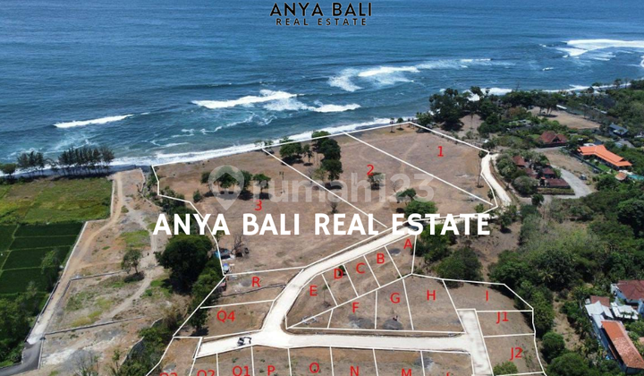 Tanah Kavling 5 Are Beachfront Pantai Saba Gianyar Tanah Kavling 5 Are Beachfront Pantai Saba Gianyar