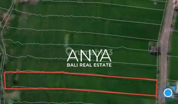 Leasehold Land 2400 Sqm In Main Road Close Cemagi Beach Bali. 2