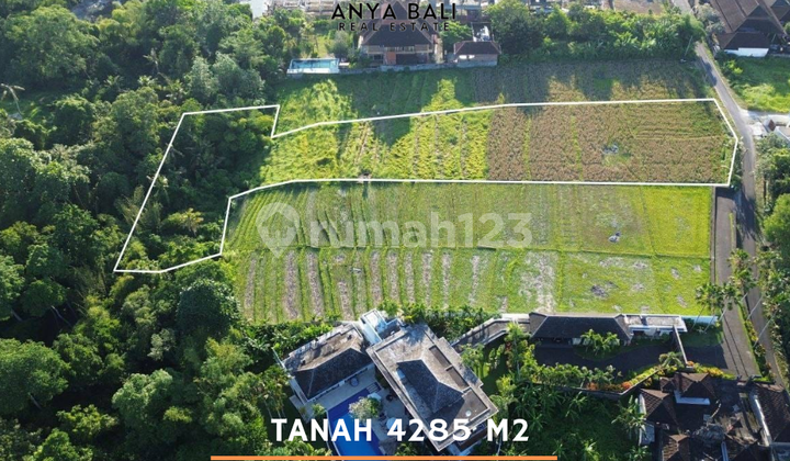 Tanah Hak Sewa 4285 M2 di Buwit Dekat Nyanyi Tabanan Bali