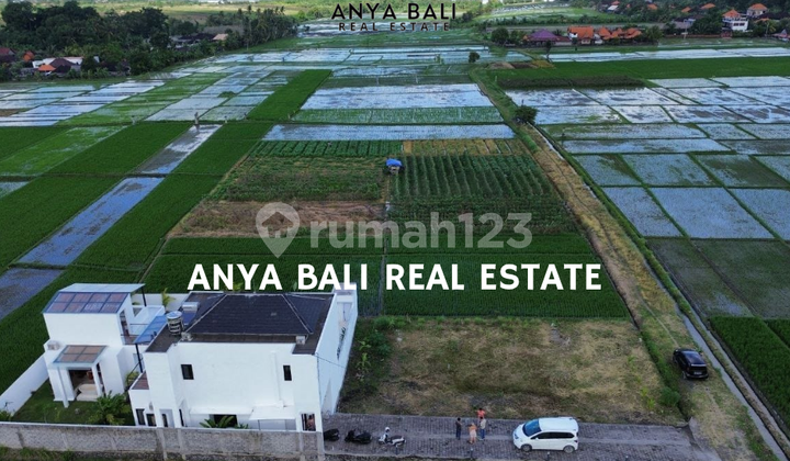 4 Are Land Near Beach View in Kelating Tabanan