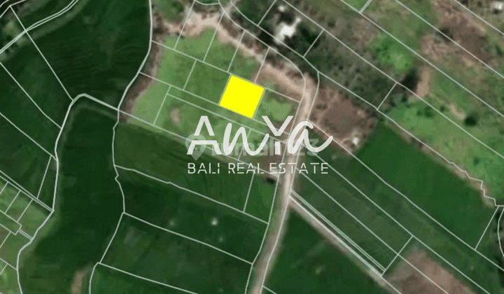 Tanah di Batubolong Canggu, Badung SHM 360 m² 2