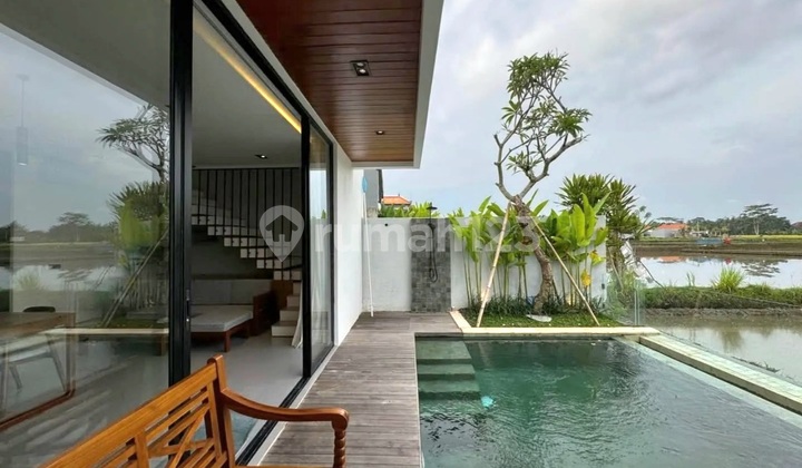 Brand New Villa 2 Bedrooms With Ricefields & Mountain View In Singakerta Ubud Bali. 2