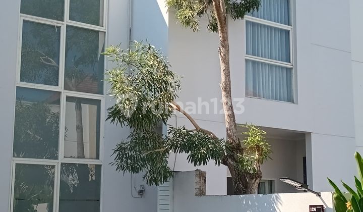 Tahunan Sewa Villa Fully Furnished 2 Kamar Tidur Di Kompleks Villa Kerobokan Bali 2