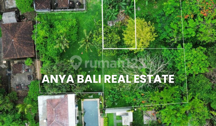 Tanah 195 M2 Pinggir Jalan Utama Kaba Kaba Tabanan Bali