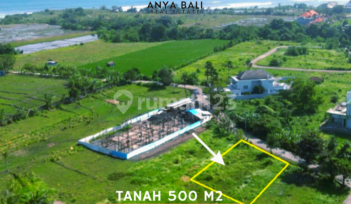 Tanah 5 Are 5 Menit Dekat Pantai Kedungu  1