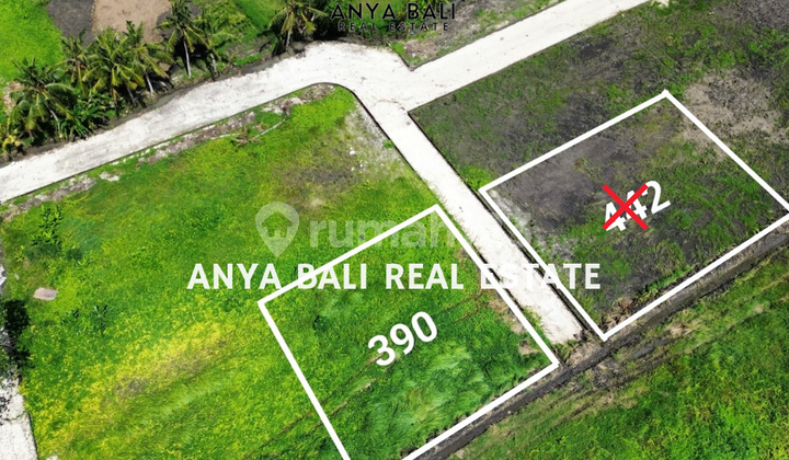 Tanah Kavling 3 Are Dalam Cluster Dekat Pantai Kedungu Tabanan Tanah Kavling 3 Are Dalam Cluster Dekat Pantai Kedungu Tabanan