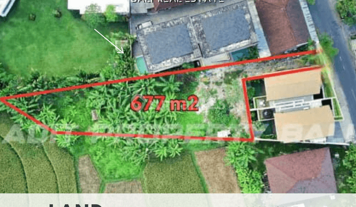 Land in Kayu Tulang, canggu Badung SHM 677 m² 1