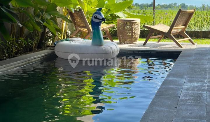Brand New Beautiful Villa 2 Bedrooms With Ricefield View In Kedungu Tabanan Bali.